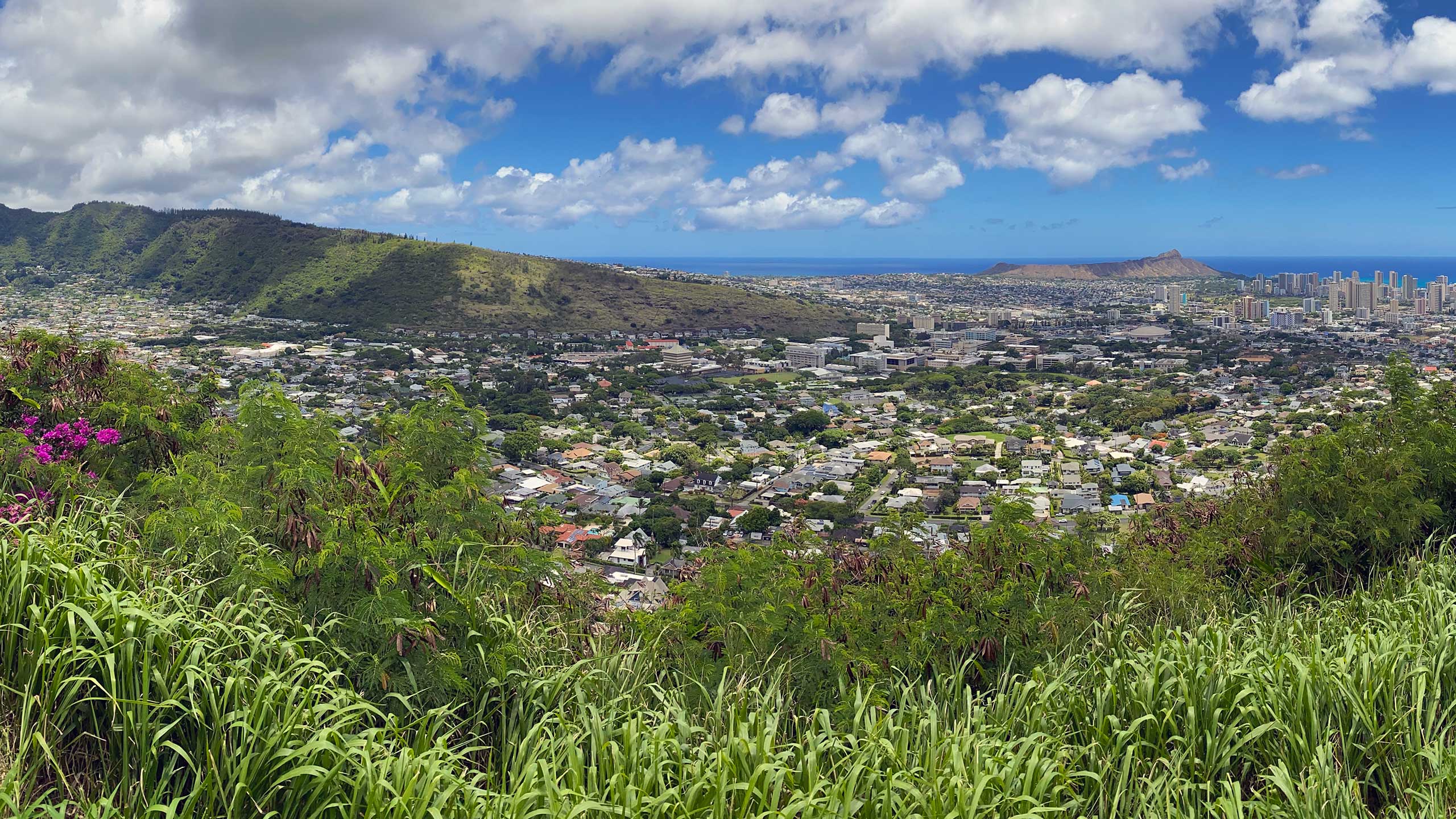 Medical Laboratory Locations in the Honolulu Area