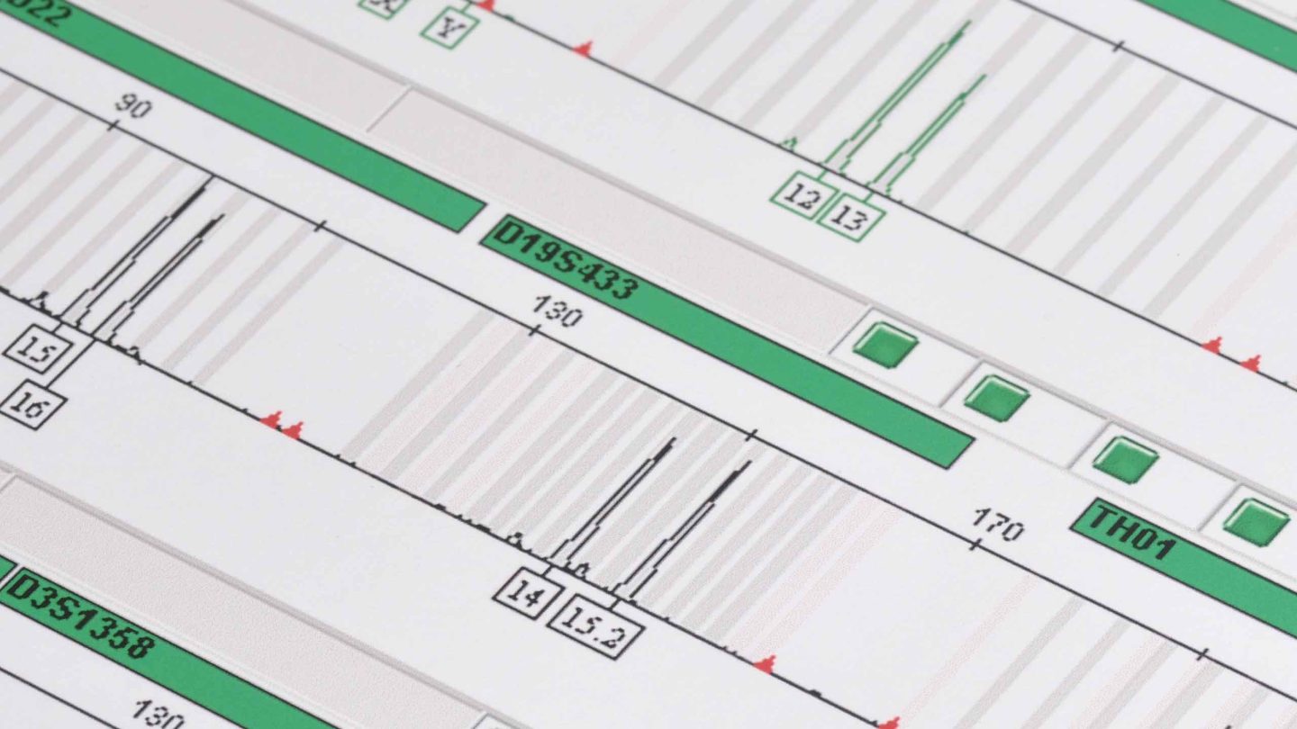 Fragment Analysis technique at Diagnostic Laboratory Services.